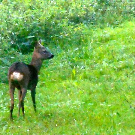Domaine Du Breuil Cognac